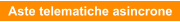 Aste telematiche asincrone