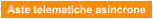Aste telematiche asincrone