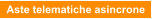 Aste telematiche asincrone